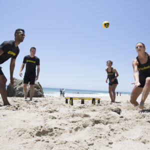 alex aristei