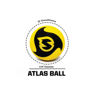 spikeball pro pallid (2x) (kopeeri)